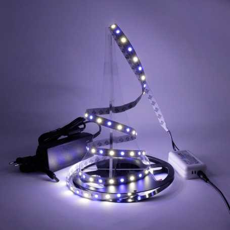 Kit ruban LED RGB+W 60LED/m 5m avec contrôleur RF 220V