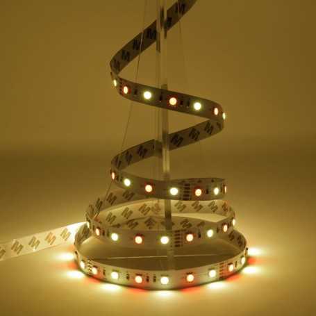 Kit ruban LED RGB+WW 60LED/m 5m avec contrôleur RF multizone 220V