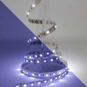 Kit ruban LED RGB+W à piles 60LED/m 2m50 avec contrôleur RF multizone