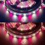 KIT ruban LED RGB+CCT 220V 2m50 multicolore et blanc variable