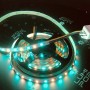 KIT ruban LED RGB+CCT 220V 2m50 multicolore et blanc variable