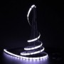 Ruban LED 12V blanc froid étanche IP54 allumé