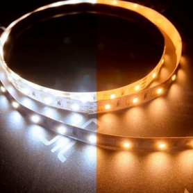 Ruban LED 12V 120LED/m CCT IP20 allumé