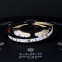 Ruban LED 12V 60LED/m vert non-étanche