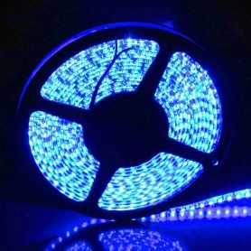 Ruban 120 leds par mètre bleu