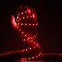 Ruban LED 12V 60LED/m rouge IP20 allumé