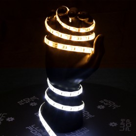 Kit ruban LED blanc variable 2m50 sur 220V