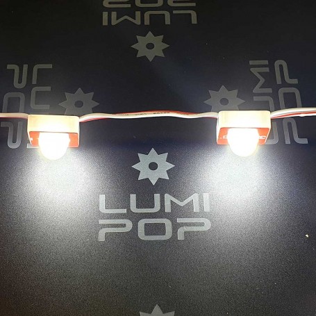 Chainette de 50 modules 1 LED de 0,36W blanc froid 6500K étanche 12V