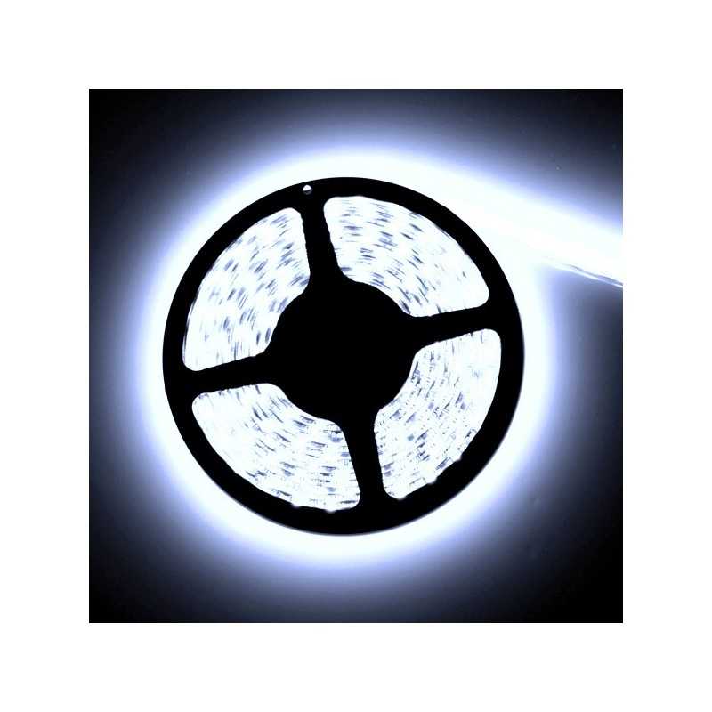 50 PCs 12V LED Diode électroluminescente Pré-câblée Ronde Tête Blanche - Foto 3