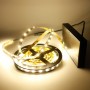 Kit bande LED blanc chaud 60LED/m IP20 5m avec boitier piles