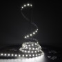 Bande led blanc neutre 12V 60led/m IP20 5m